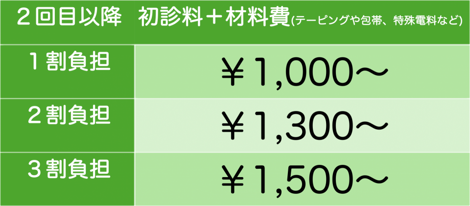 保険2回目以降料金表