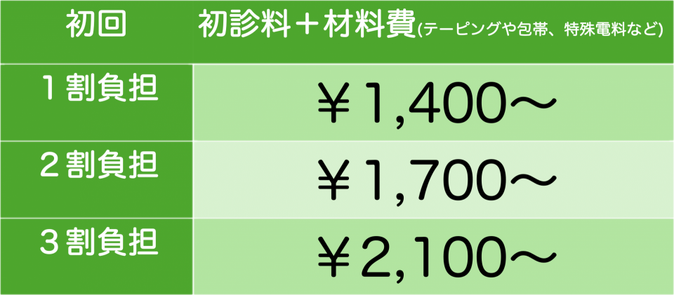 保険初回料金表